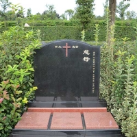 中式墓型