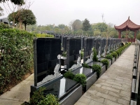 中式標準墓型