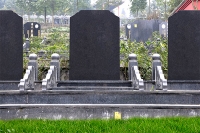 柏樹園標準墓型